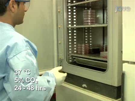 In vitro Uncoating of HIV-1 Cores