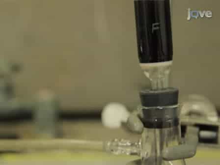 A Protocol for Detecting and Scavenging Gas-phase Free Radicals in Mainstream Cigarette Smoke