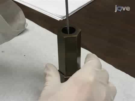 Simultaneous Synthesis of Single-walled Carbon Nanotubes and Graphene in a Magnetically-enhanced Arc Plasma