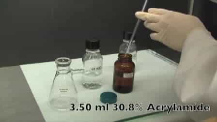 Pouring and Running a Protein Gel by reusing Commercial Cassettes