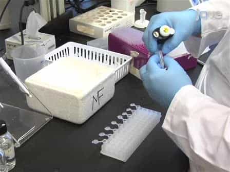 Direct Detection of the Acetate-forming Activity of the Enzyme Acetate Kinase