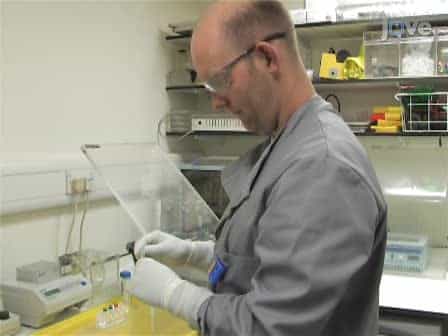 Assaying the Kinase Activity of LRRK2 in vitro