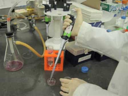 Measuring Fast Calcium Fluxes in Cardiomyocytes