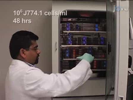 Visualization of Vascular Ca2+ Signaling Triggered by Paracrine Derived ROS