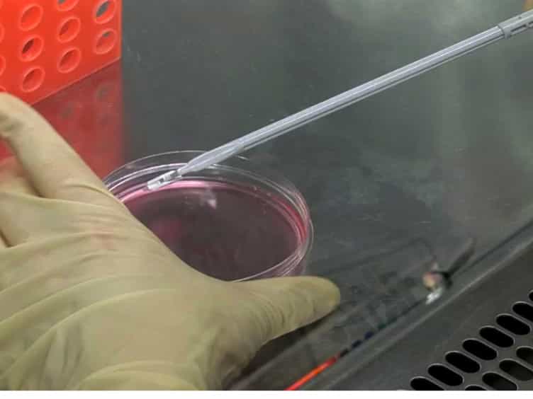 Efficient Recombinant Parvovirus Production with the Help of Adenovirus-derived Systems