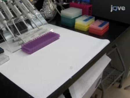 In vitro Assembly of Semi-artificial Molecular Machine and its Use for Detection of DNA Damage