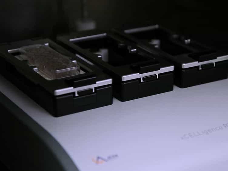 Determining Optimal Cytotoxic Activity of Human Her2neu Specific CD8 T cells by Comparing the Cr51 Release Assay to the xCELLigence System