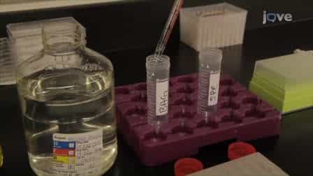 Multiplexed Fluorometric ImmunoAssay Testing Methodology and Troubleshooting