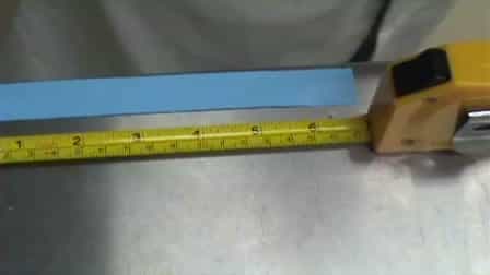 The Tail Suspension Test