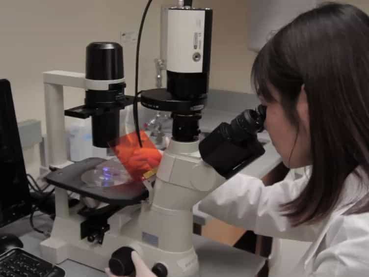 Reprogramming Human Somatic Cells into Induced Pluripotent Stem Cells iPSCs Using Retroviral Vector with GFP