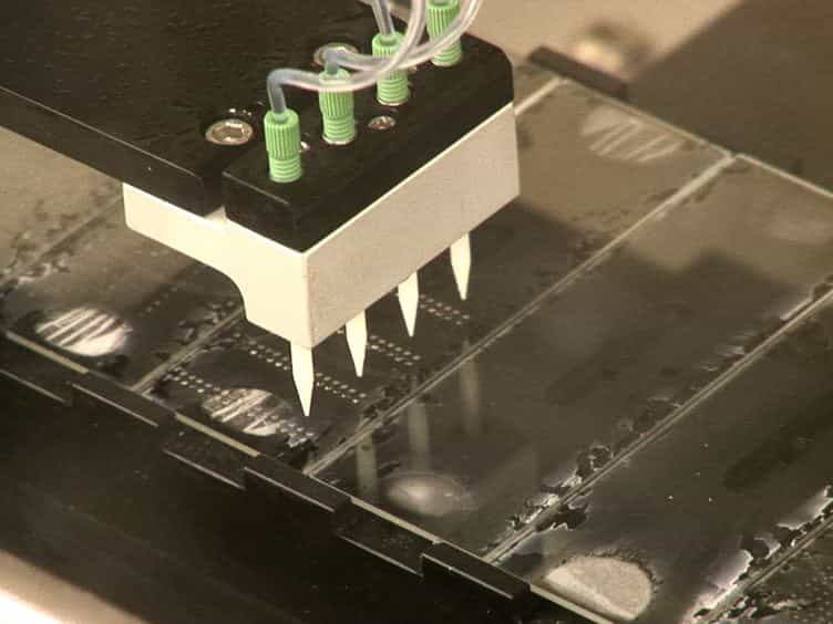 Candida albicans Biofilm Chip CaBChip for High-throughput Antifungal Drug Screening