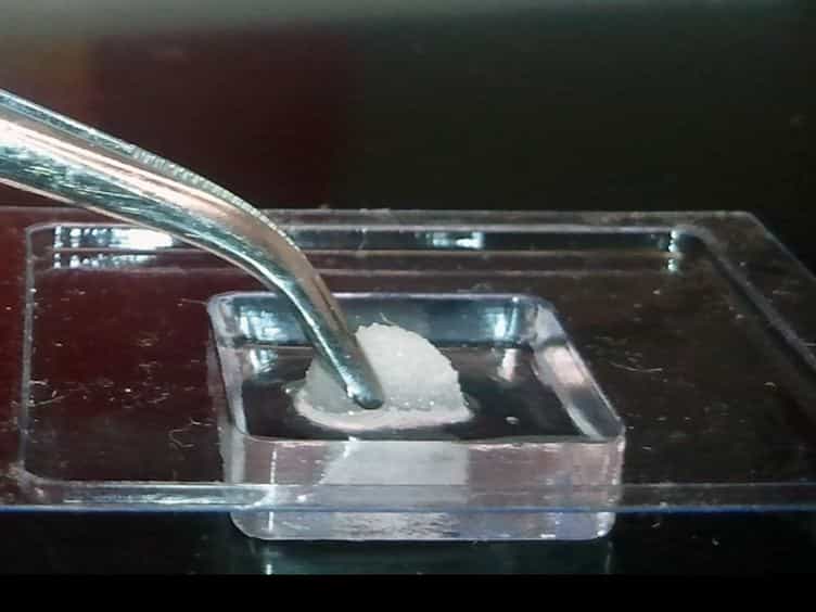 The Polyvinyl Alcohol Sponge Model Implantation