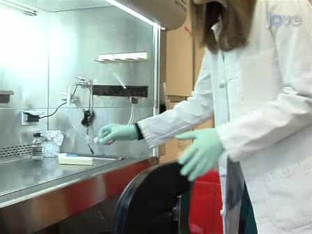In vitro Mesothelial Clearance Assay that Models the Early Steps of Ovarian Cancer Metastasis
