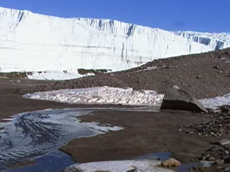 Establishment of Microbial Eukaryotic Enrichment Cultures from a Chemically Stratified Antarctic Lake and Assessment of Carbon Fixation Potential
