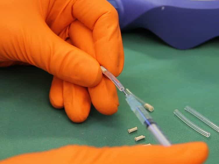 Ovariectomy and 17β-estradiol Replacement in Rats and Mice: A Visual Demonstration