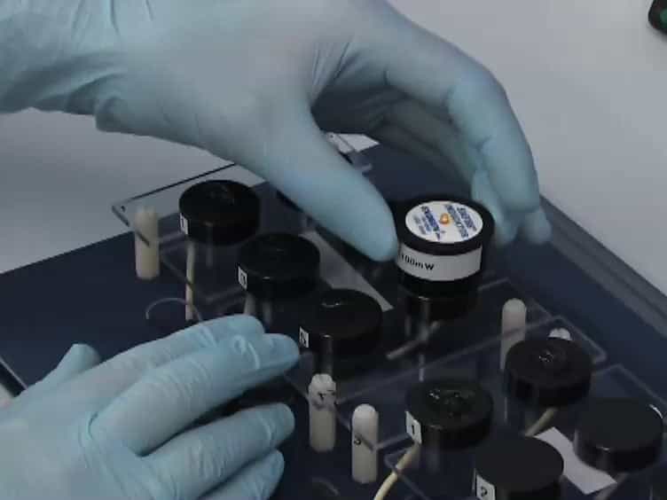 Induction of Adhesion-dependent Signals Using Low-intensity Ultrasound