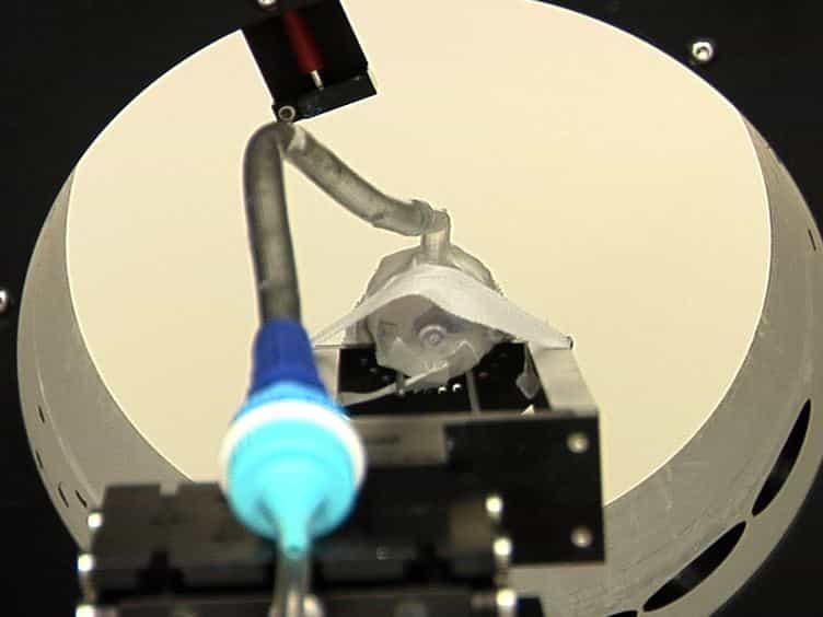 Computed Tomography-guided Time-domain Diffuse Fluorescence Tomography in Small Animals for Localization of Cancer Biomarkers