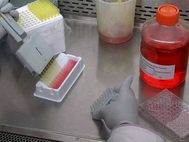 A Parasite Rescue and Transformation Assay for Antileishmanial Screening Against Intracellular Leishmania donovani Amastigotes in THP1 Human Acute Monocytic Leukemia Cell Line