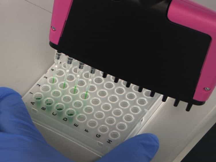 The Green Monster Process for the Generation of Yeast Strains Carrying Multiple Gene Deletions