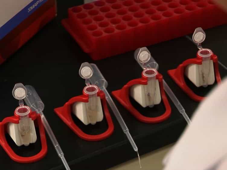 Conversion of a Capture ELISA to a Luminex xMAP Assay using a Multiplex Antibody Screening Method