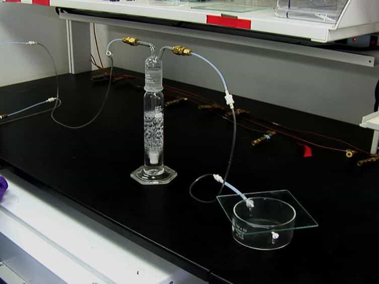 Creating Defined Gaseous Environments to Study the Effects of Hypoxia on C. elegans