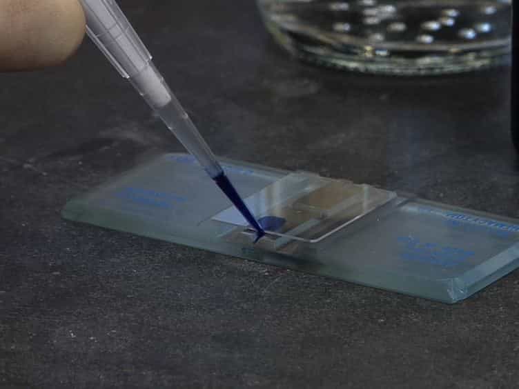 Small-scale Nuclear Extracts for Functional Assays of Gene-expression Machineries