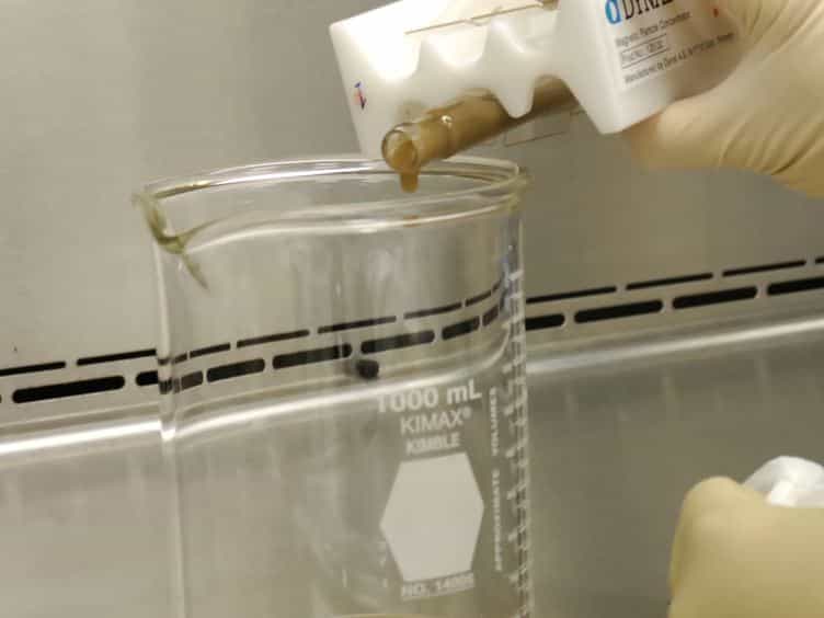 A Modified EPA Method 1623 that Uses Tangential Flow Hollow-fiber Ultrafiltration and Heat Dissociation Steps to Detect Waterborne Cryptosporidium and Giardia spp.