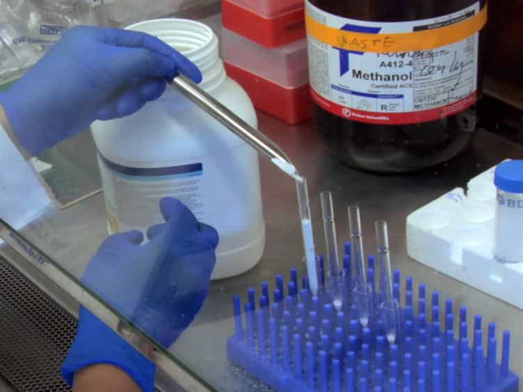 Mass Spectrometric Analysis of Glycosphingolipid Antigens