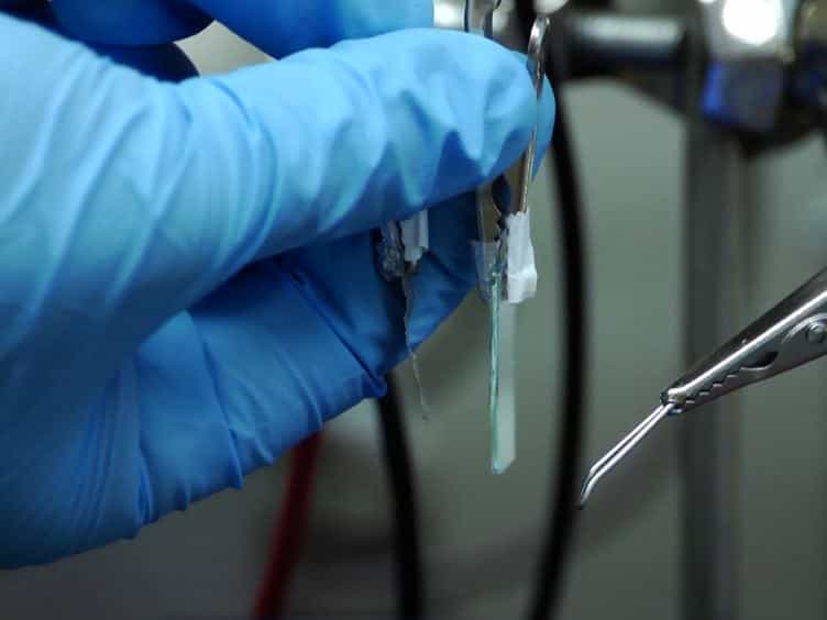 Bridging the Bio-Electronic Interface with Biofabrication