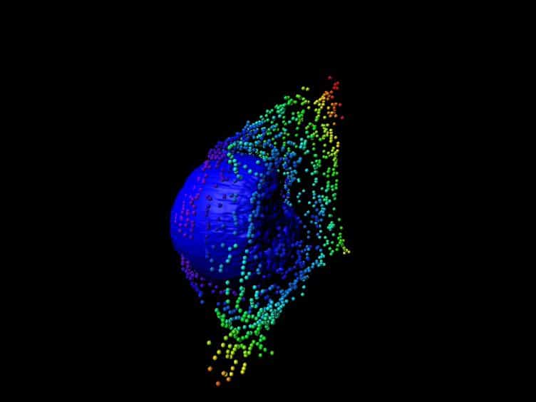 An Analytical Tool that Quantifies Cellular Morphology Changes from Three-dimensional Fluorescence Images