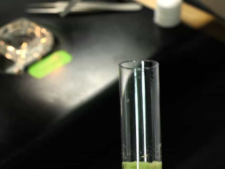 Ex vivo Culturing of Whole, Developing Drosophila Brains
