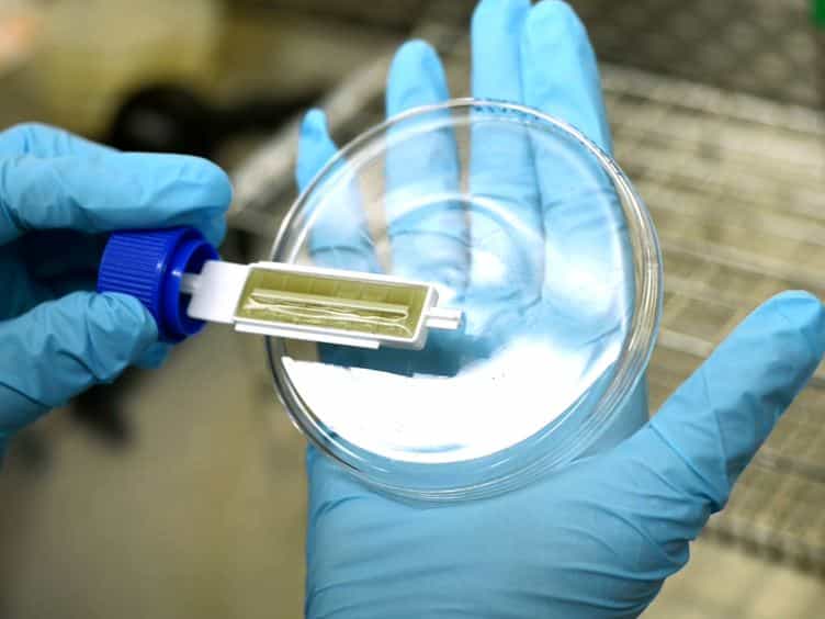 The Portable Chemical Sterilizer PCS, D-FENS, and D-FEND ALL: Novel Chlorine Dioxide Decontamination Technologies for the Military
