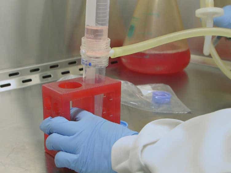 Isolating Primary Melanocyte-like Cells from the Mouse Heart