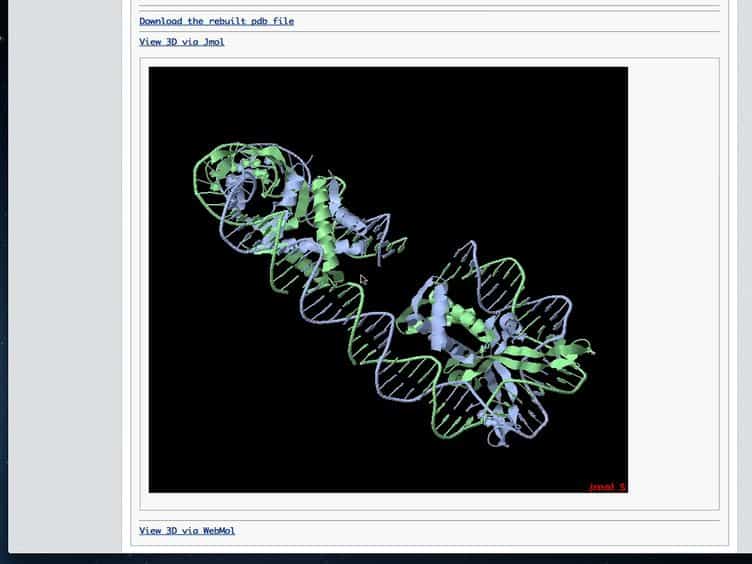 Analyzing and Building Nucleic Acid Structures with 3DNA