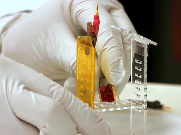 Multi-analyte Biochip MAB Based on All-solid-state Ion-selective Electrodes ASSISE for Physiological Research