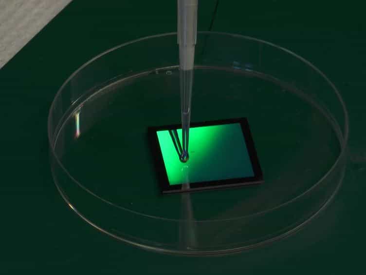 Capillary Force Lithography for Cardiac Tissue Engineering