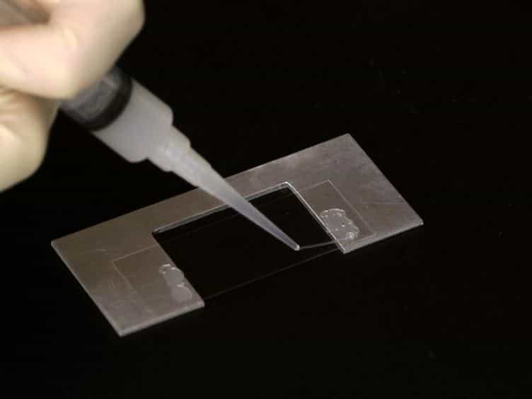 Flexural Rigidity Measurements of Biopolymers Using Gliding Assays