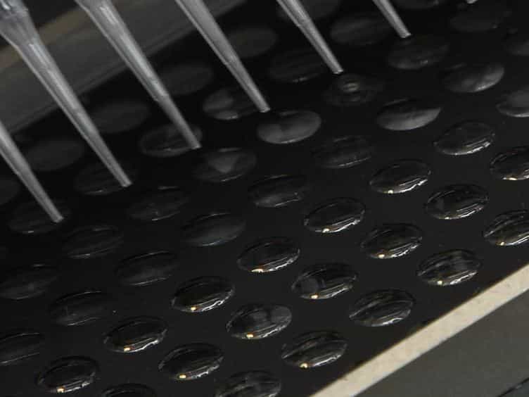 Biochemical and High Throughput Microscopic Assessment of Fat Mass in Caenorhabditis Elegans