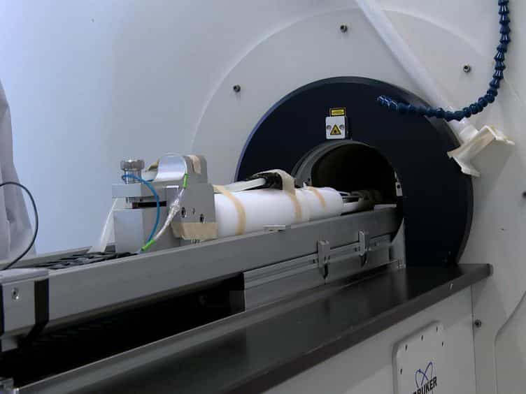 Monitoring Dendritic Cell Migration using 19F / 1H Magnetic Resonance Imaging