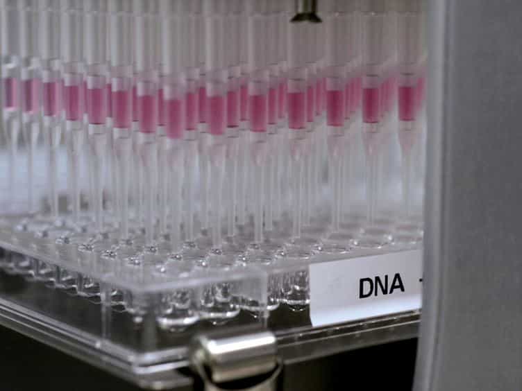 High-throughput Functional Screening using a Homemade Dual-glow Luciferase Assay