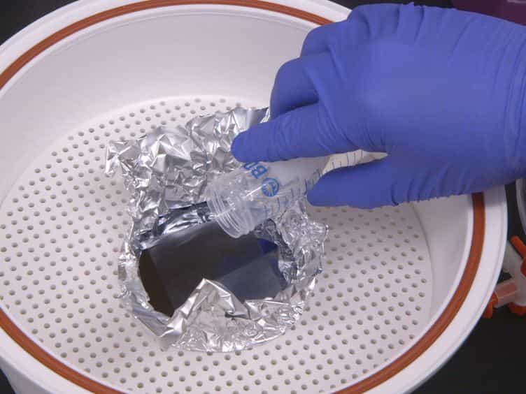 Generation of Aligned Functional Myocardial Tissue Through Microcontact Printing