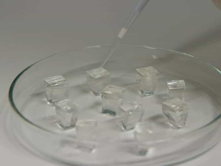 Creating Adhesive and Soluble Gradients for Imaging Cell Migration with Fluorescence Microscopy
