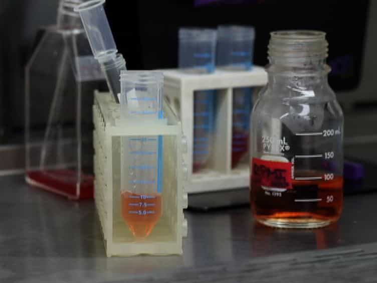 Separation of Plasmodium falciparum Late Stage-infected Erythrocytes by Magnetic Means