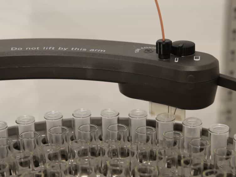 Application of an In vitro DNA Protection Assay to Visualize Stress Mediation Properties of the Dps Protein