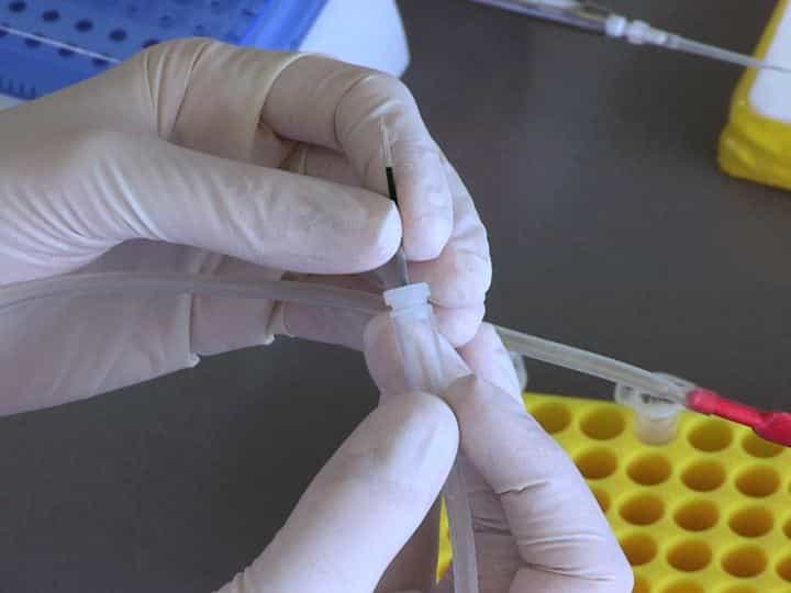 Genetic Manipulation of the Mouse Developing Hypothalamus through In utero Electroporation