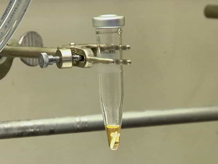 Microwave-assisted Intramolecular Dehydrogenative Diels-Alder Reactions for the Synthesis of Functionalized Naphthalenes/Solvatochromic Dyes