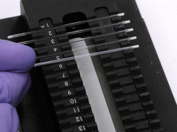 Protein Purification-free Method of Binding Affinity Determination by Microscale Thermophoresis