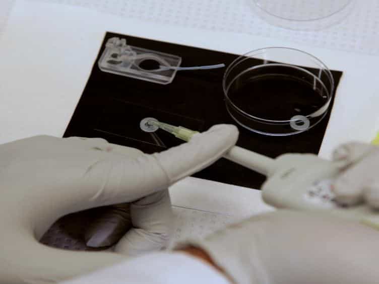 Patch Clamp Recordings from Embryonic Zebrafish Mauthner Cells