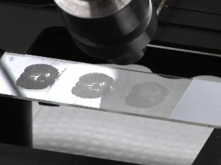 Imaging of Biological Tissues by Desorption Electrospray Ionization Mass Spectrometry