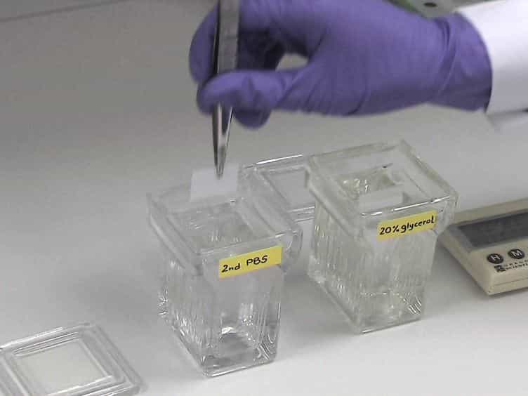 Robust 3D DNA FISH Using Directly Labeled Probes